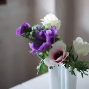 rose24okの画像