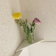 Ririの画像