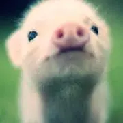 ななおの画像