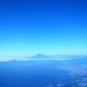 Yの画像