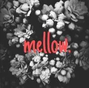 mellow.