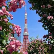 P.JKの画像