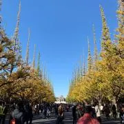 ま