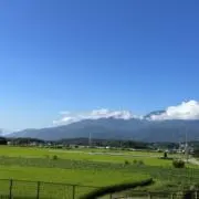 goriの画像