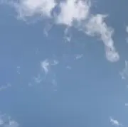 mimi
