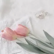なつの画像