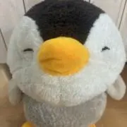 ぺんちゃんの画像