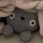 雪の画像