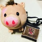 きぃの画像