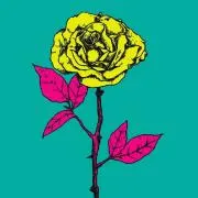 LINOの画像