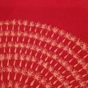 たんぽぽの画像