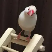ひろ