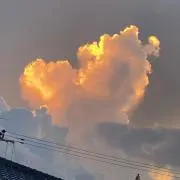 まつん