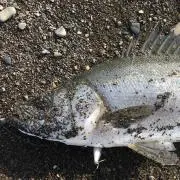 ⭐︎の画像