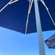 honaaa⭐️の画像
