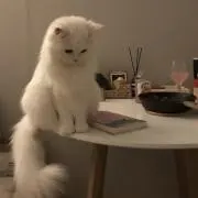 るる