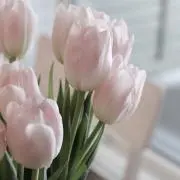 アクア_断捨離の画像