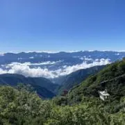 aoiの画像