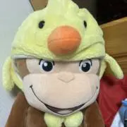かあるの画像