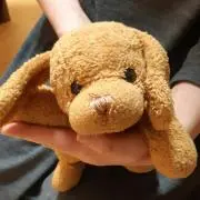 こーちゃんの画像