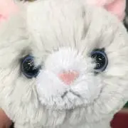 Ireneの画像