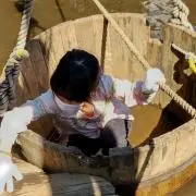 ナツメデリアの画像