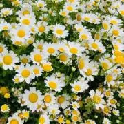 NC☺︎の画像