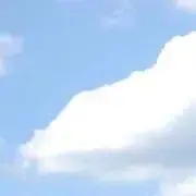 セオの画像