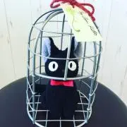クロエ☆