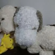 みーき