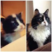 Jun