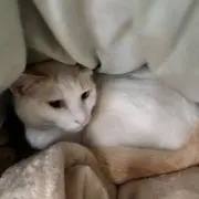 おく