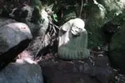 Fの画像