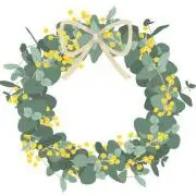 mimosaの画像
