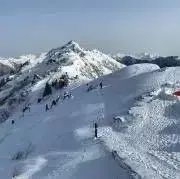 さちの画像