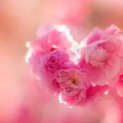 Image of kur⭐︎ お値下げ交渉ok☺︎
