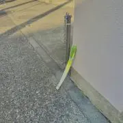 とまと