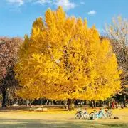 Thankful smileの画像