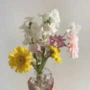 asmの画像