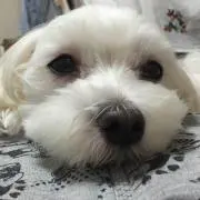 marrysの画像