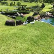 DAYの画像