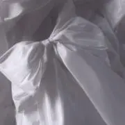サリチル酸の画像