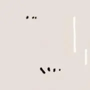 ぎょぎょの画像