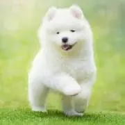 みもりの画像