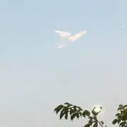 ハッパ