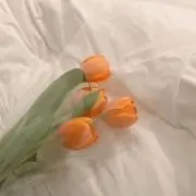 うさまる