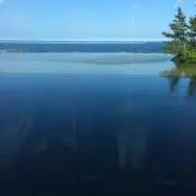 ゆうきの画像