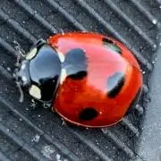 K's Factory ※プロフ要確認※