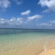 トルティーヤの画像
