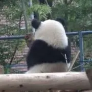 たけ（値下げはこちらのタイミングにて）の画像